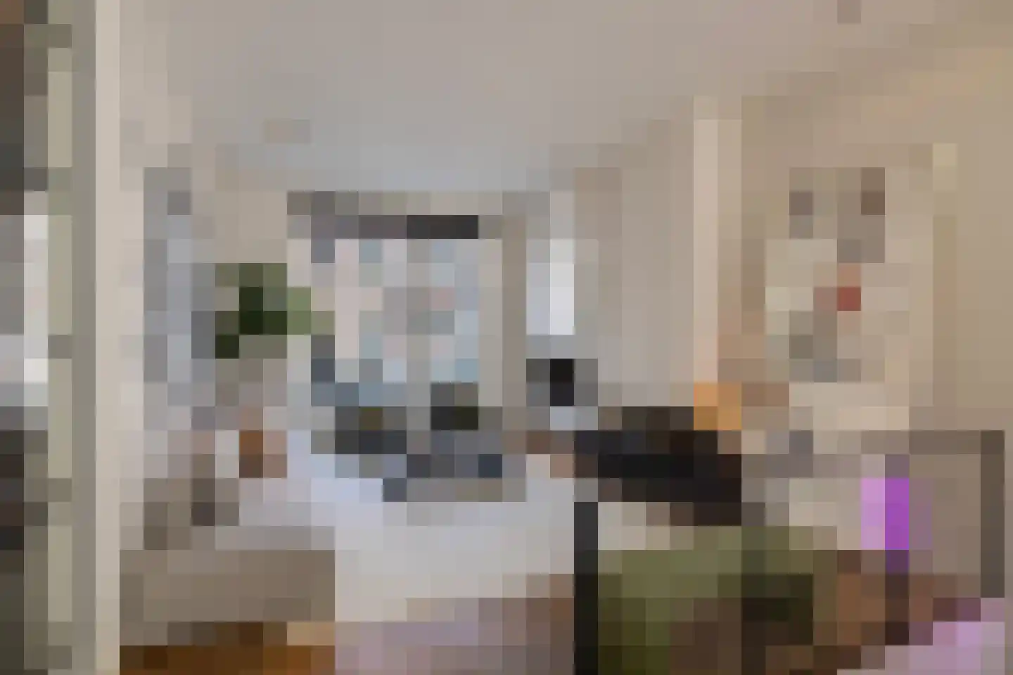 Willemsparkweg 17 Amsterdam thumbnail 4