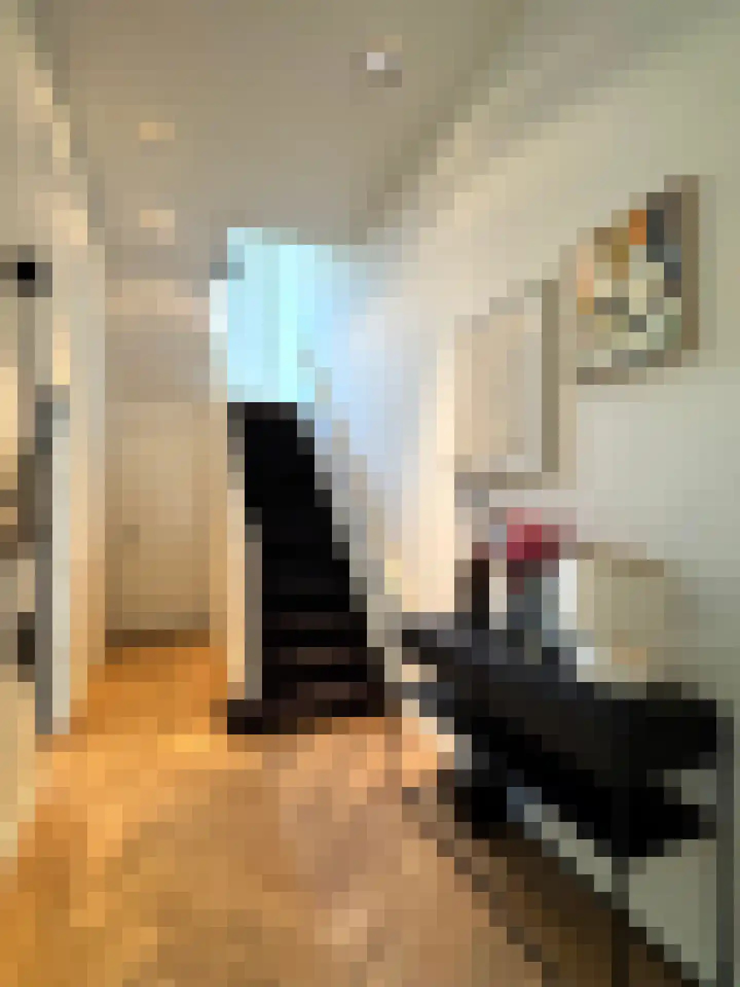 Willemsparkweg 17 Amsterdam thumbnail 9