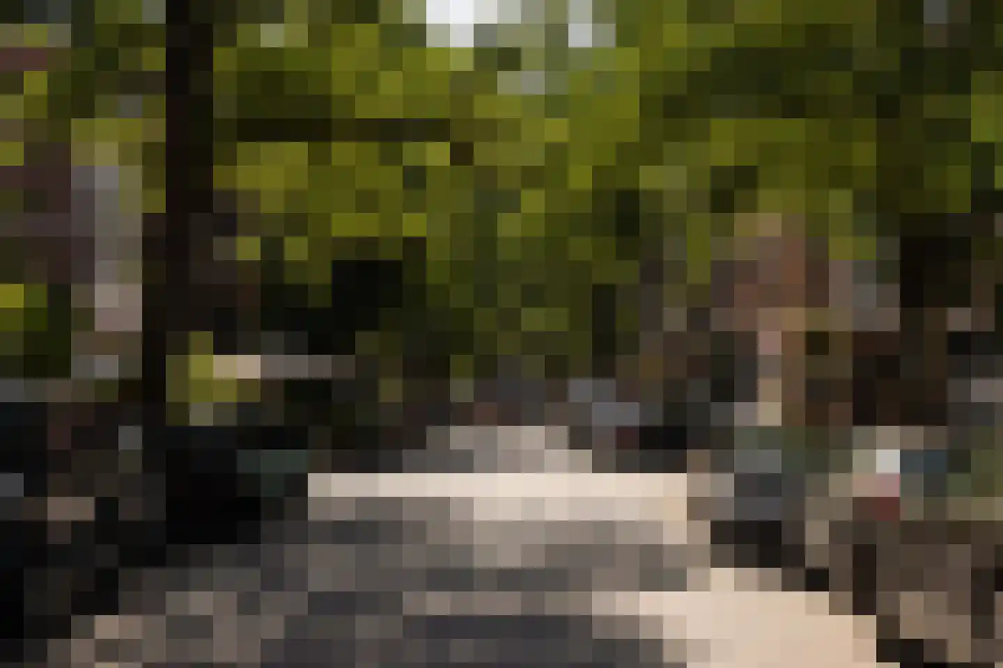 Willemsparkweg 182 2 Amsterdam thumbnail 38