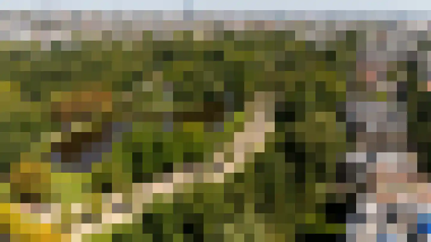 Willemsparkweg 182 2 Amsterdam thumbnail 44