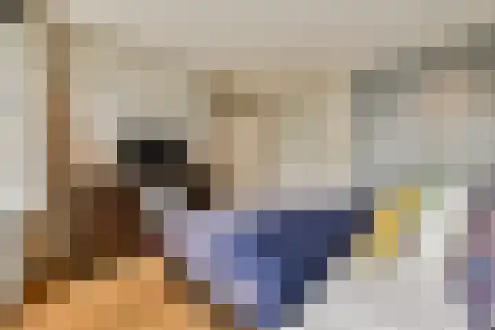 Willemsparkweg 187 3 Amsterdam thumbnail 14