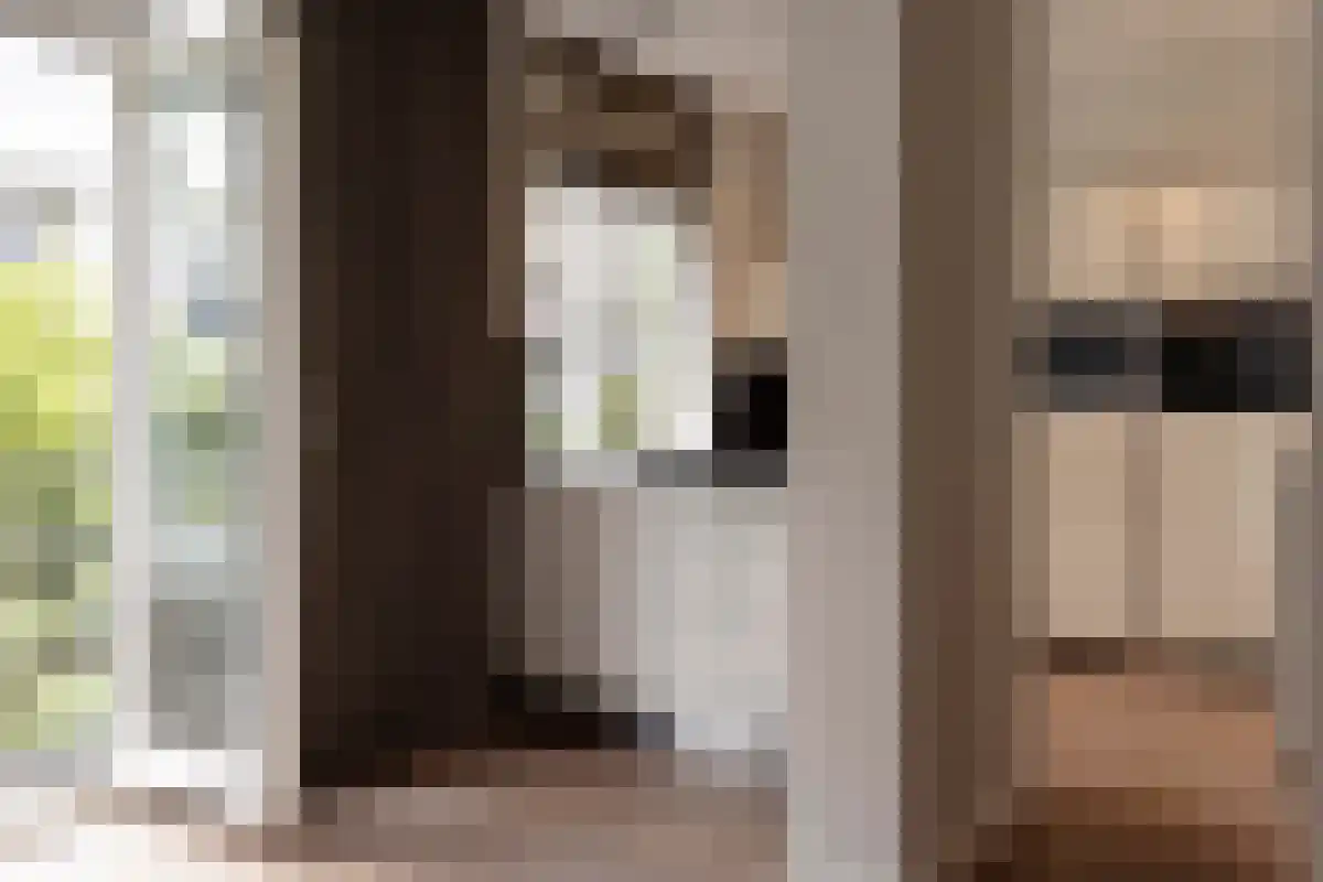 Willemsparkweg 208 Amsterdam thumbnail 5