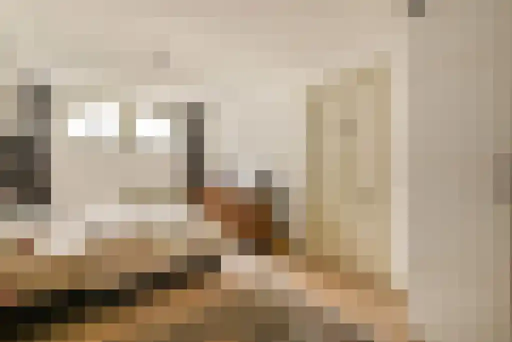 Willemsparkweg 212 2 Amsterdam thumbnail 12