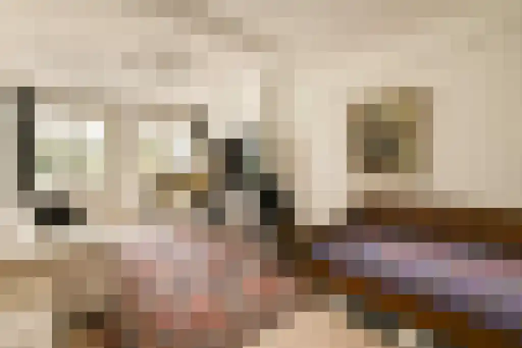 Willemsparkweg 212 2 Amsterdam thumbnail 14