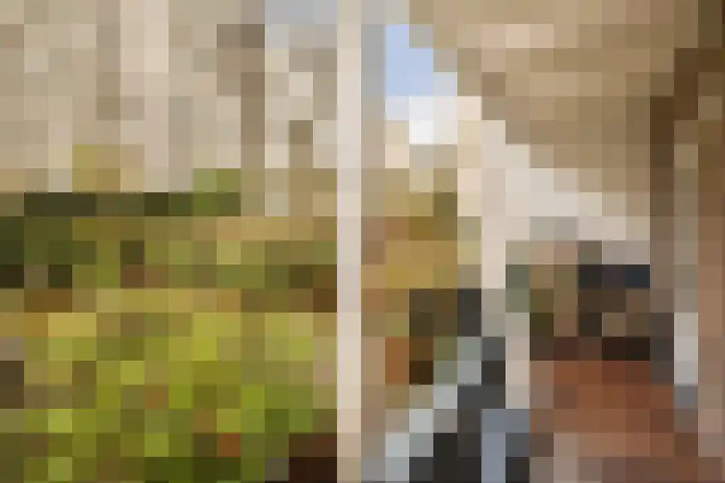 Willemsparkweg 212 2 Amsterdam thumbnail 15