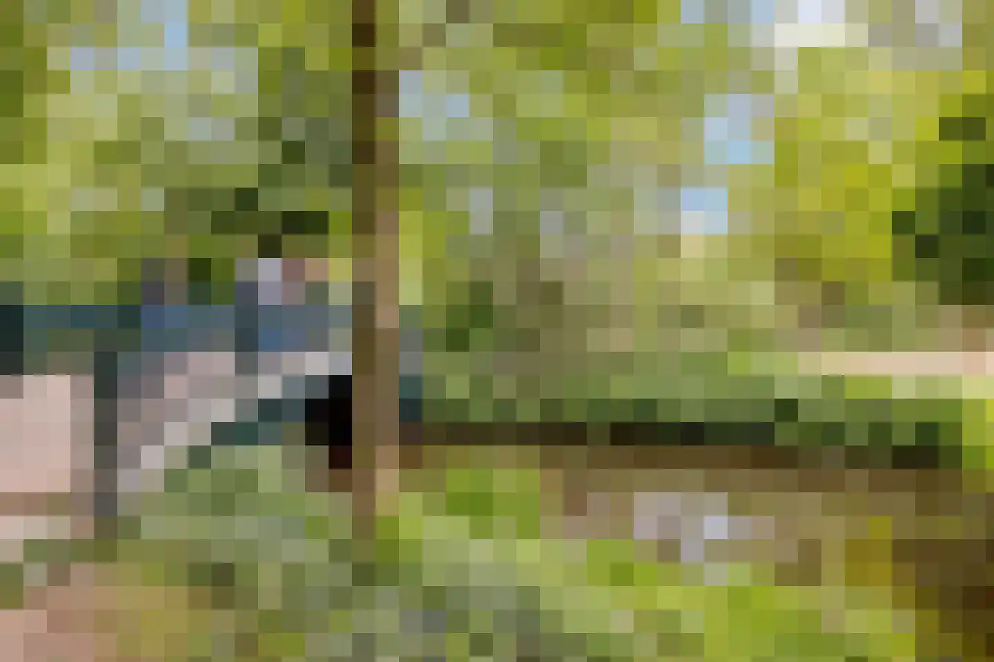 Willemsparkweg 212 2 Amsterdam thumbnail 17
