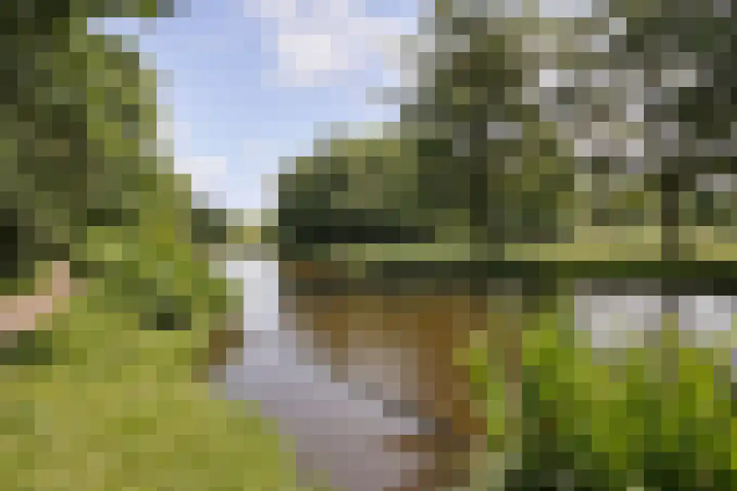 Willemsparkweg 212 2 Amsterdam thumbnail 18