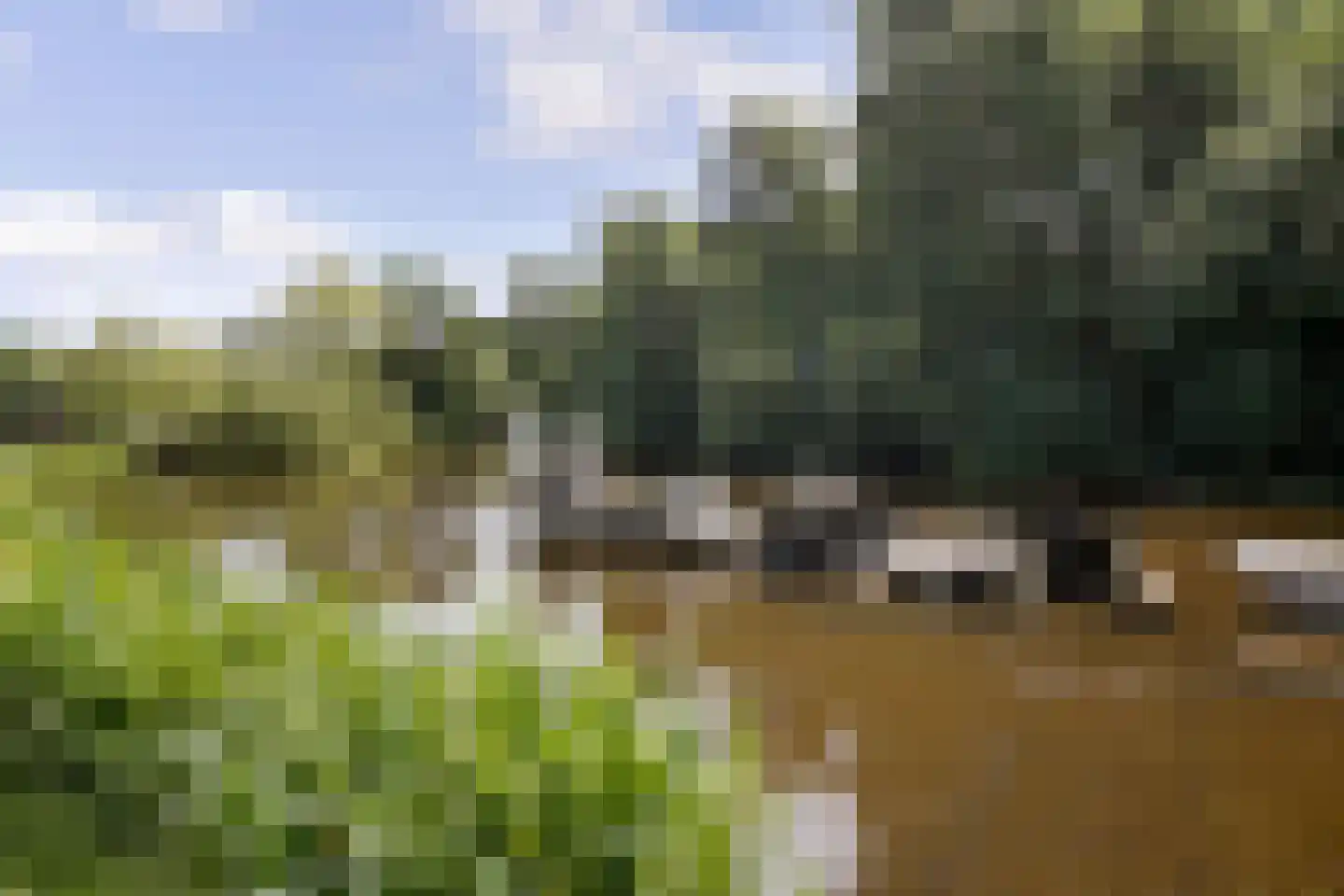 Willemsparkweg 212 2 Amsterdam thumbnail 19