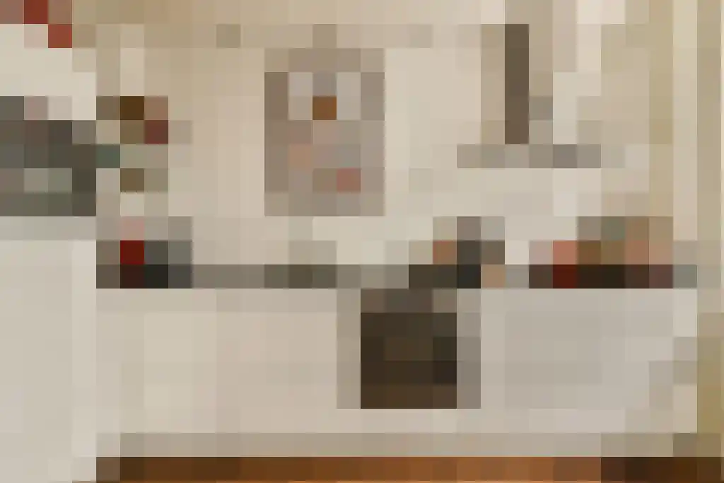 Willemsparkweg 212 2 Amsterdam thumbnail 5