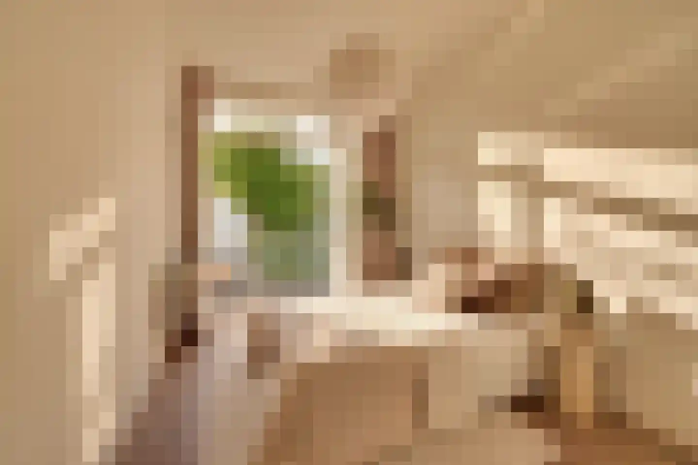 Willemsparkweg 213 H Amsterdam thumbnail 16