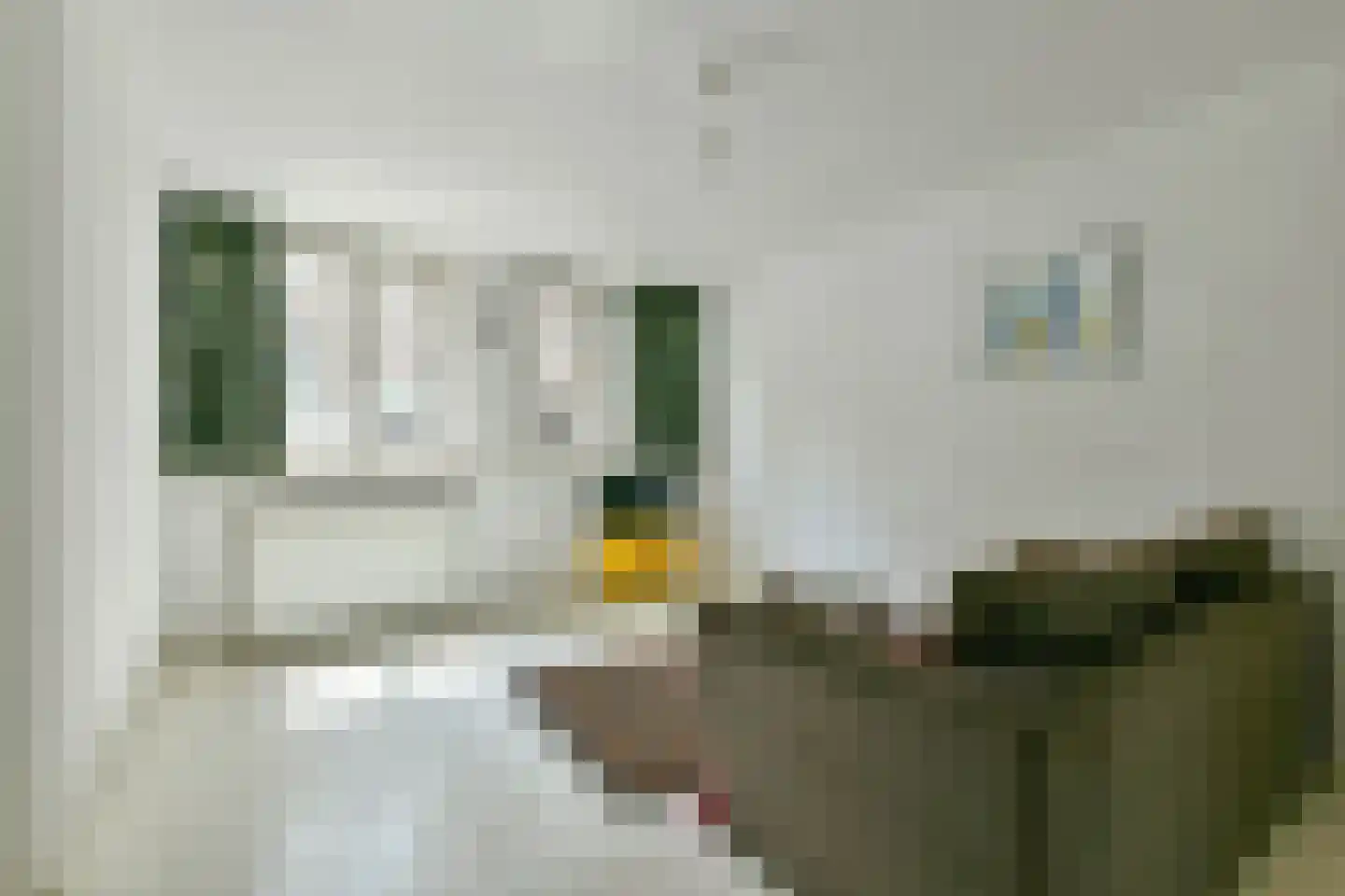 Willemsparkweg 22 H Amsterdam thumbnail 12