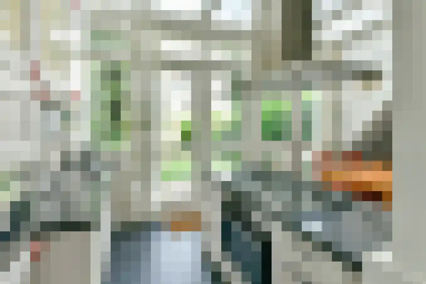 Willemsparkweg 22 H Amsterdam thumbnail 14