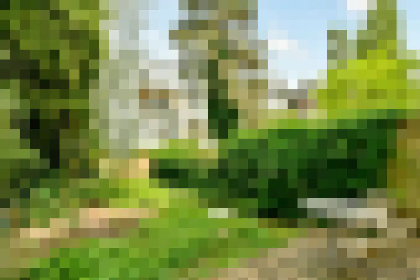 Willemsparkweg 22 H Amsterdam thumbnail 15