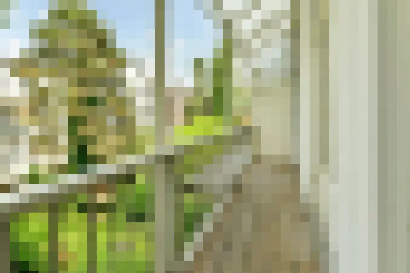 Willemsparkweg 22 H Amsterdam thumbnail 28