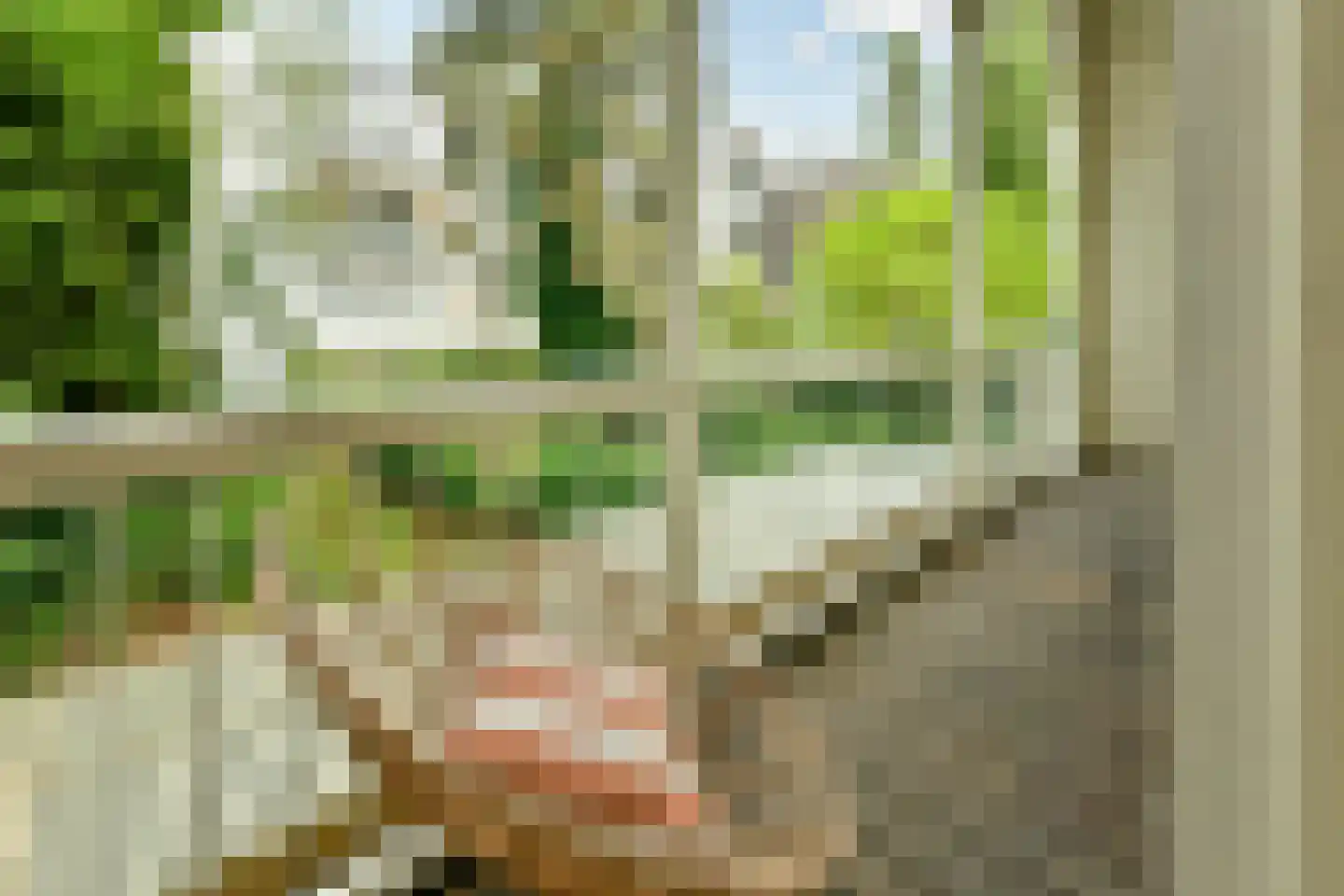 Willemsparkweg 22 H Amsterdam thumbnail 8