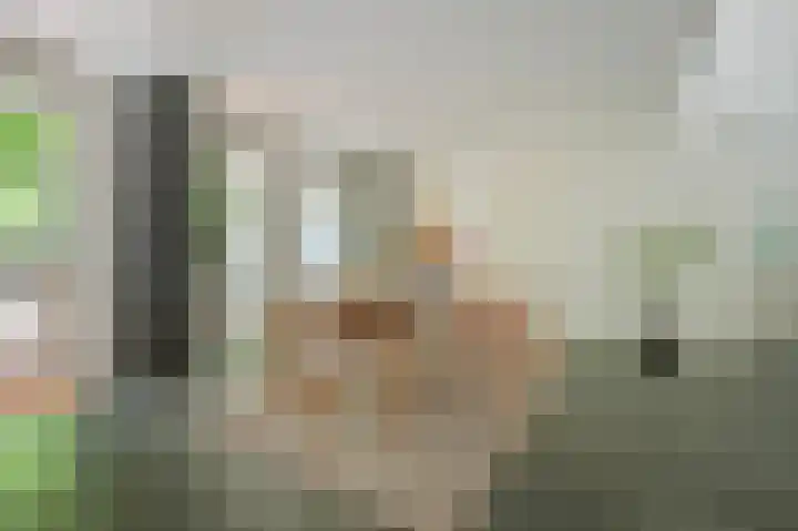 Willemsparkweg 36 Amsterdam thumbnail 13