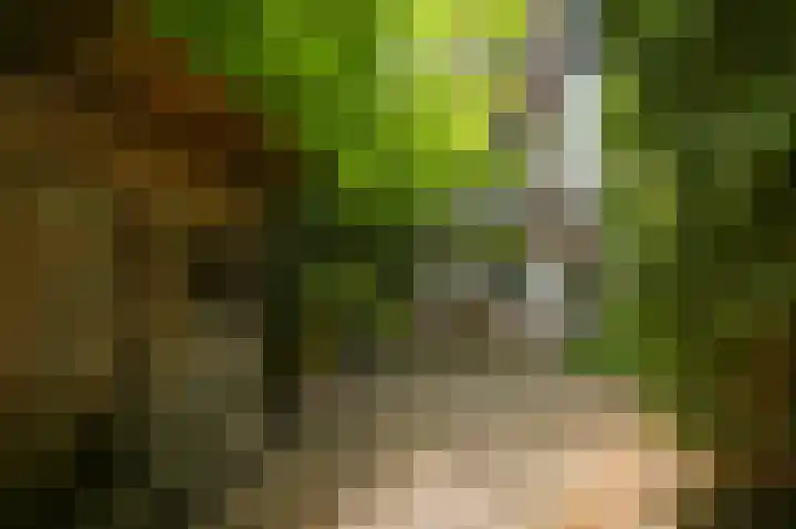 Willemsparkweg 36 Amsterdam thumbnail 20