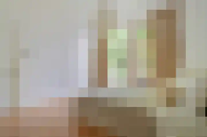 Willemsparkweg 36 Amsterdam thumbnail 29