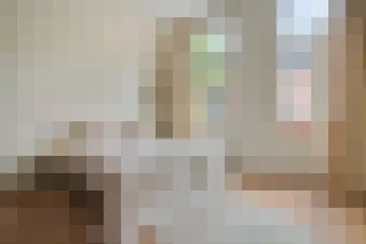 Willemsparkweg 36 Amsterdam thumbnail 35