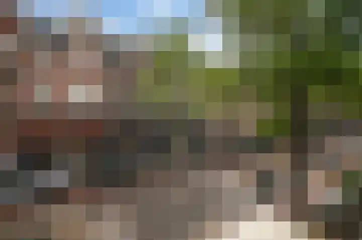 Willemsparkweg 36 Amsterdam thumbnail 37