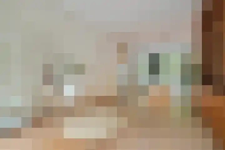 Willemsparkweg 36 Amsterdam thumbnail 4