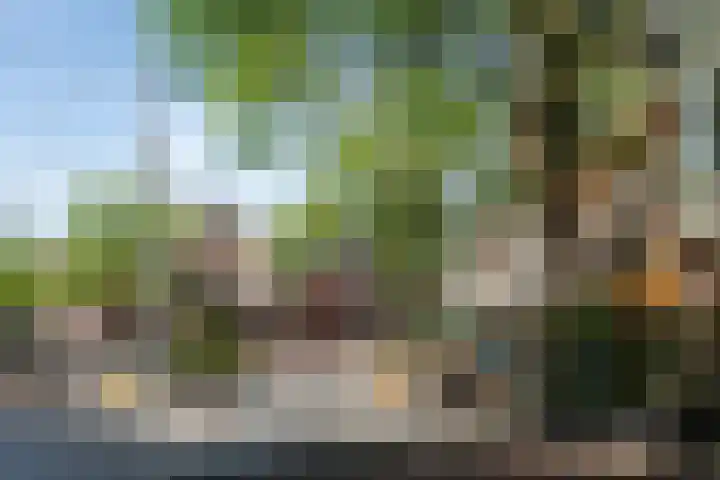 Willemsparkweg 36 Amsterdam thumbnail 48
