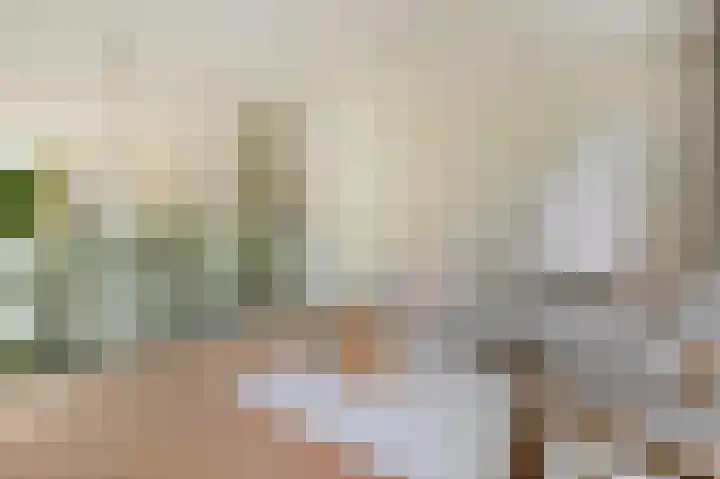 Willemsparkweg 36 Amsterdam thumbnail 9