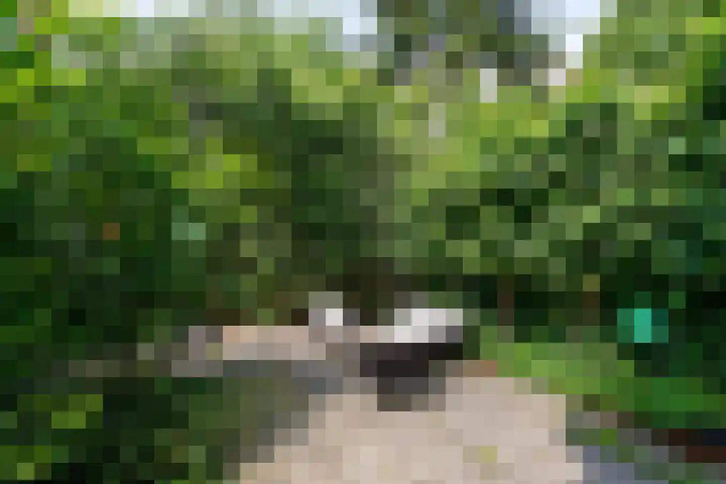 Willemsparkweg 46 A Amsterdam thumbnail 26
