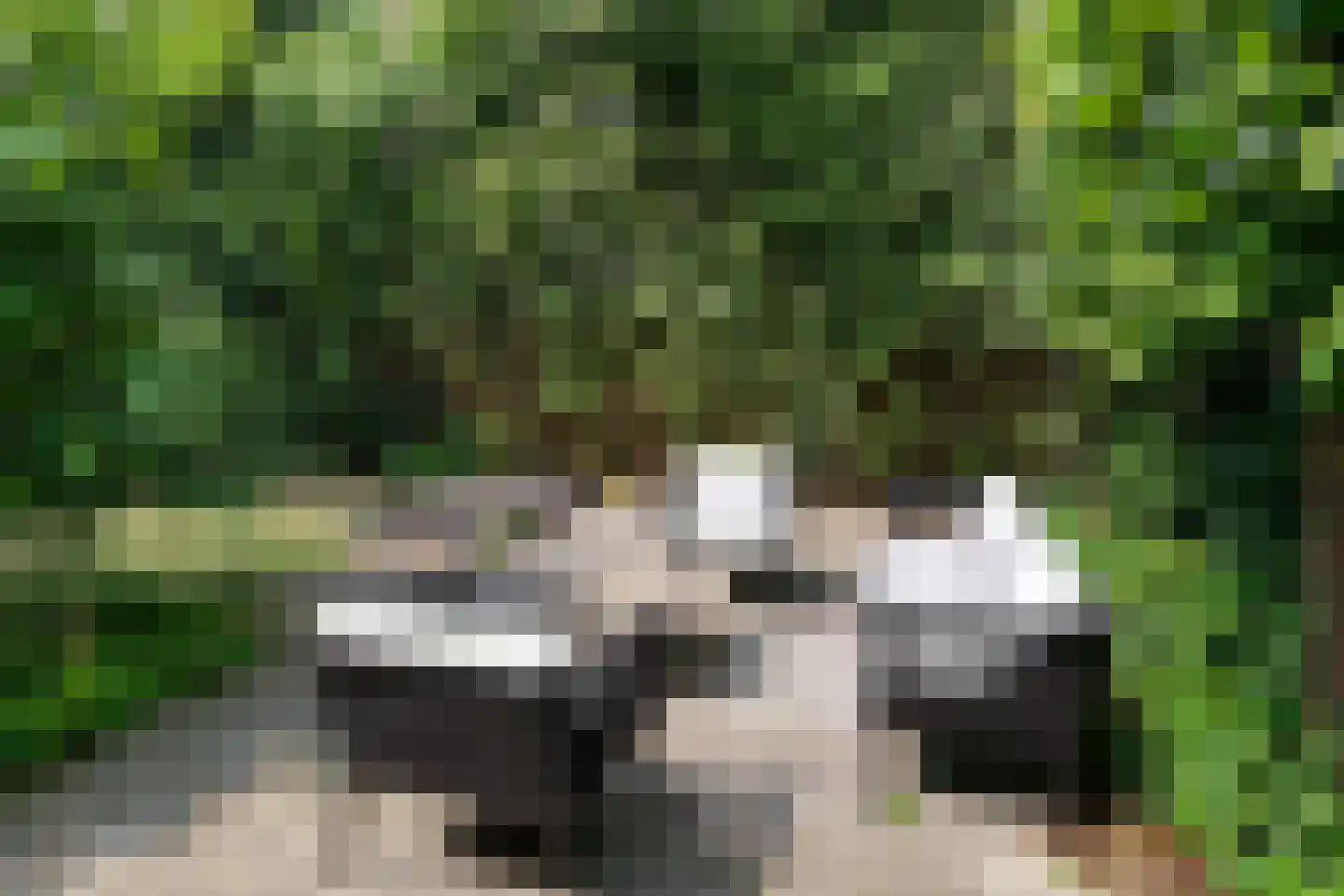 Willemsparkweg 46 A Amsterdam thumbnail 27