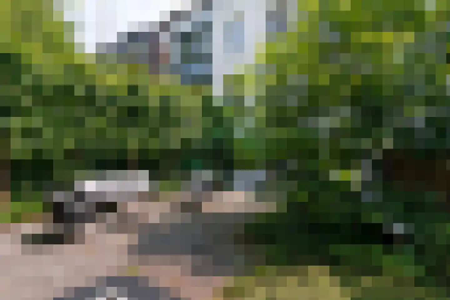 Willemsparkweg 46 A Amsterdam thumbnail 30