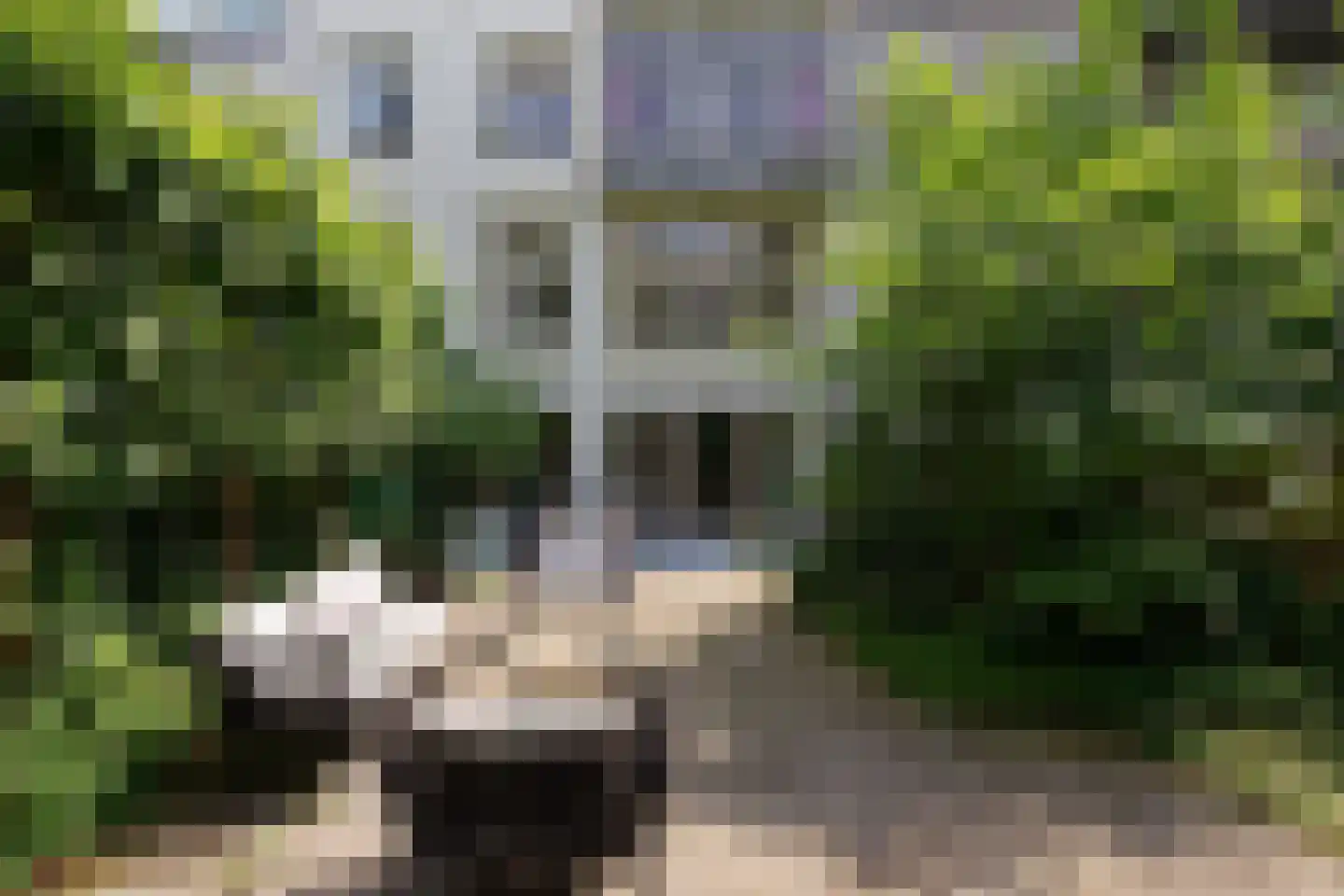 Willemsparkweg 46 A Amsterdam thumbnail 31