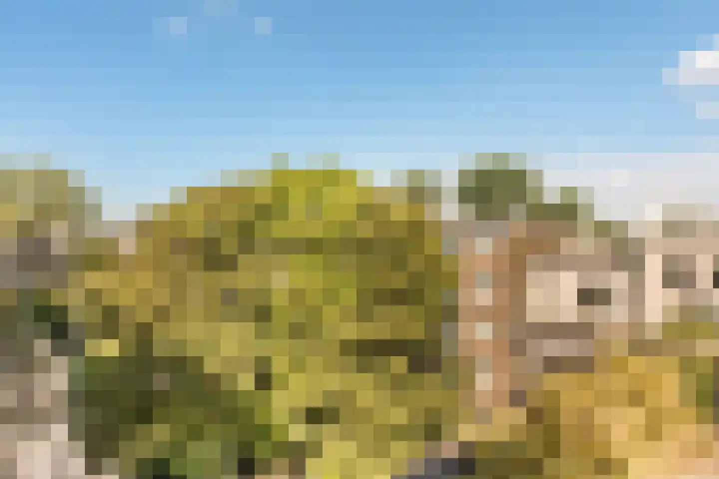Willemsparkweg 46 B Amsterdam thumbnail 17
