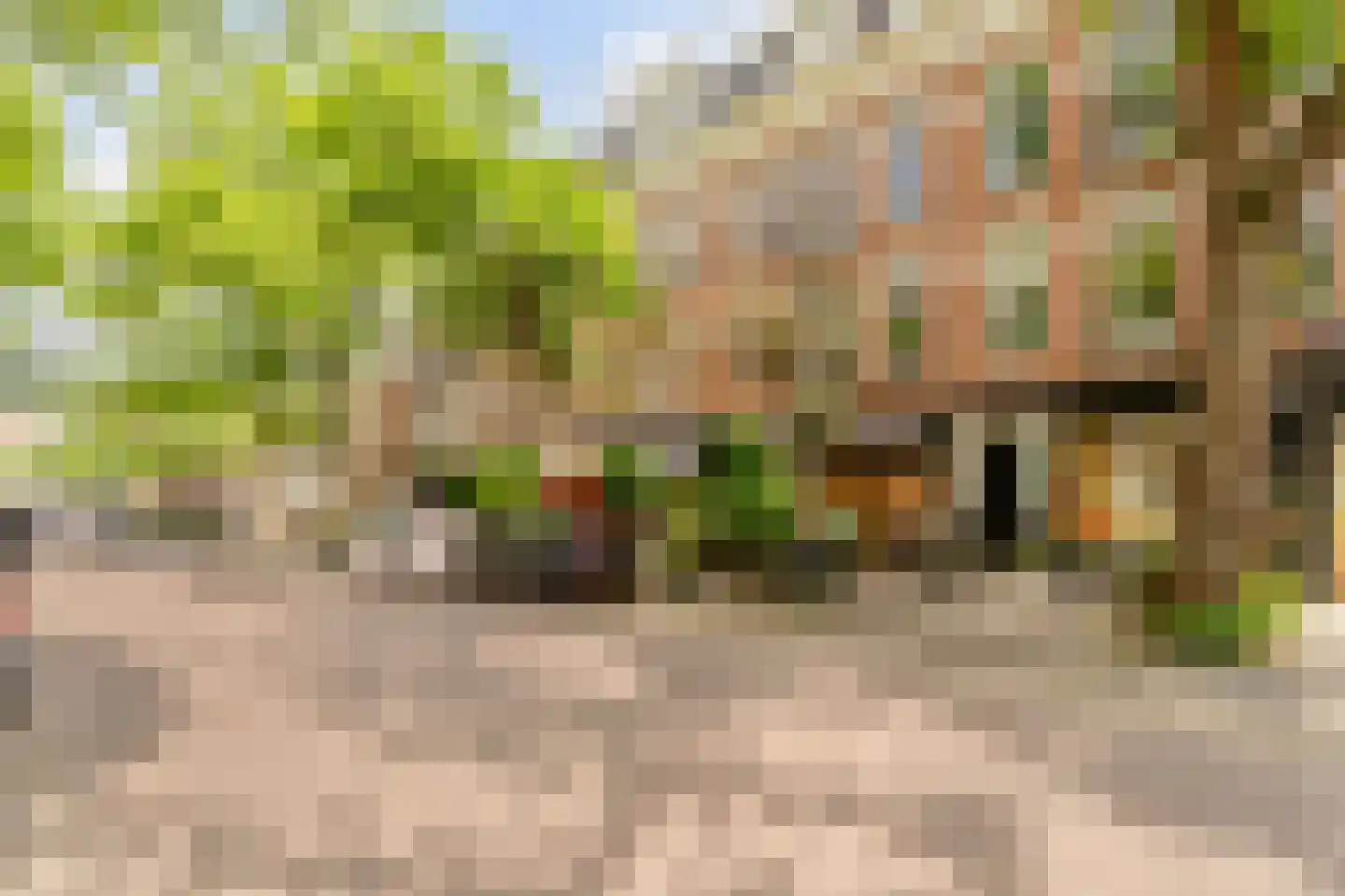 Willemsparkweg 46 B Amsterdam thumbnail 24