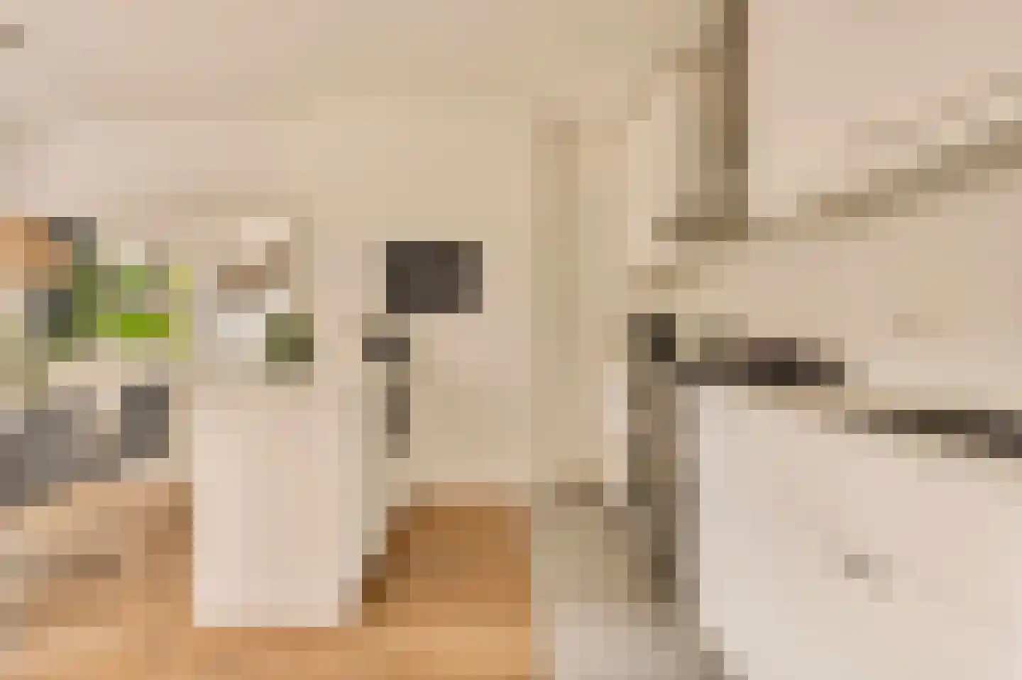 Willemsparkweg 46 B Amsterdam thumbnail 6