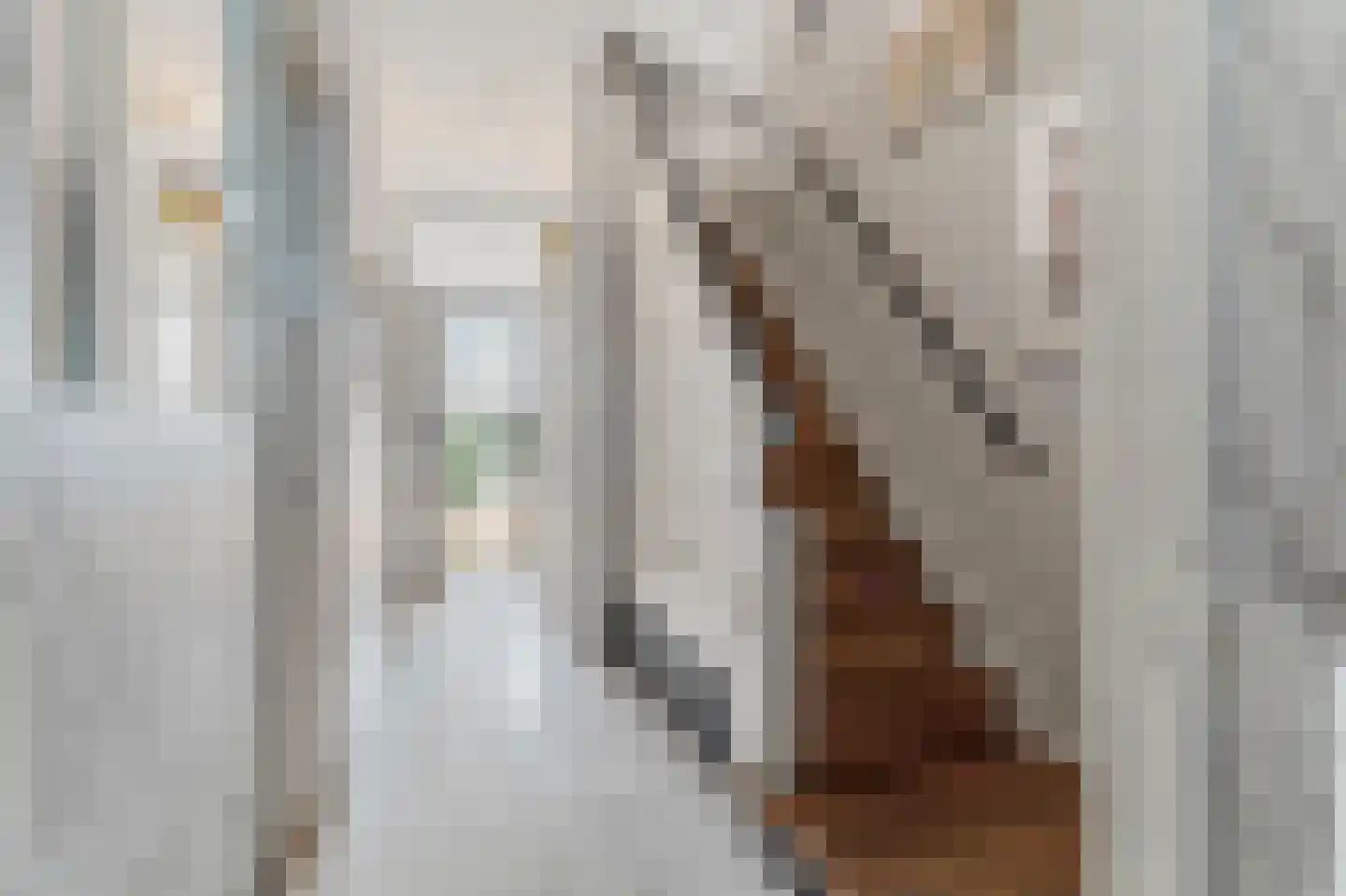 Willemsparkweg 49 2 Amsterdam thumbnail 4