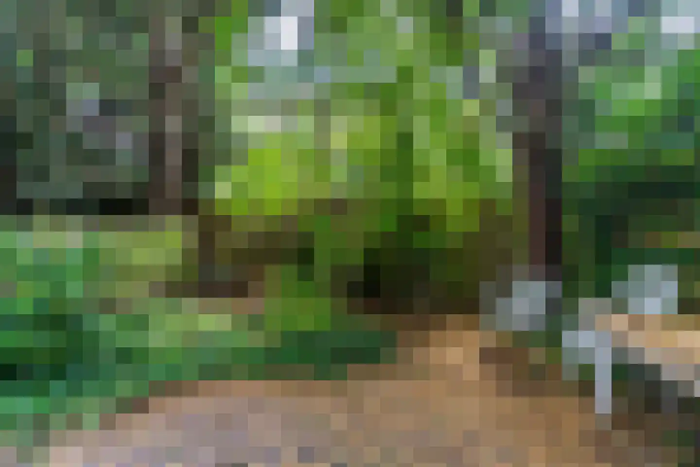 Willemsparkweg 49 2 Amsterdam thumbnail 61