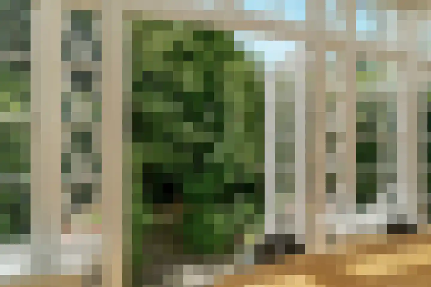 Willemsparkweg 49 2 Amsterdam thumbnail 65