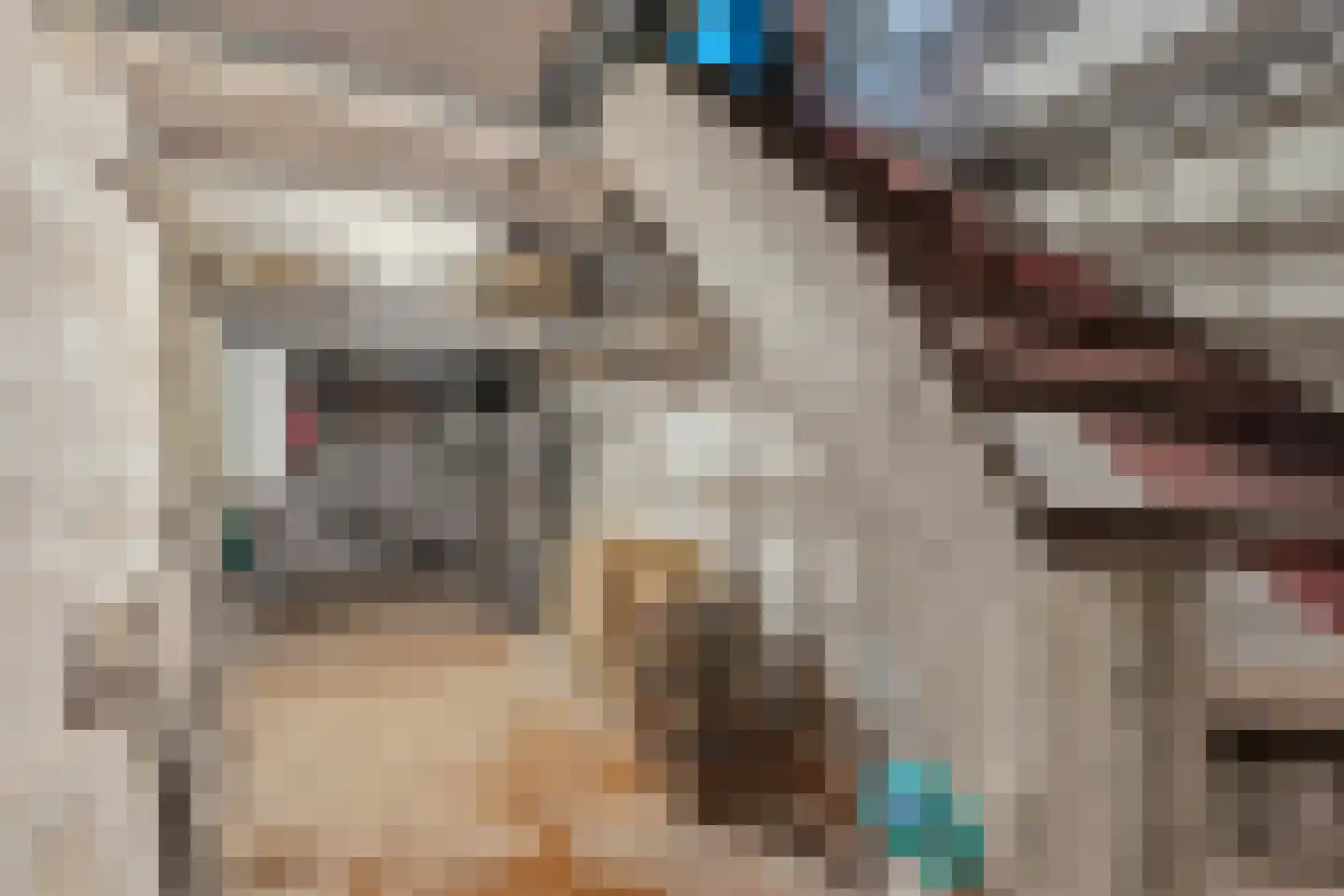 Willemsparkweg 49 2 Amsterdam thumbnail 69