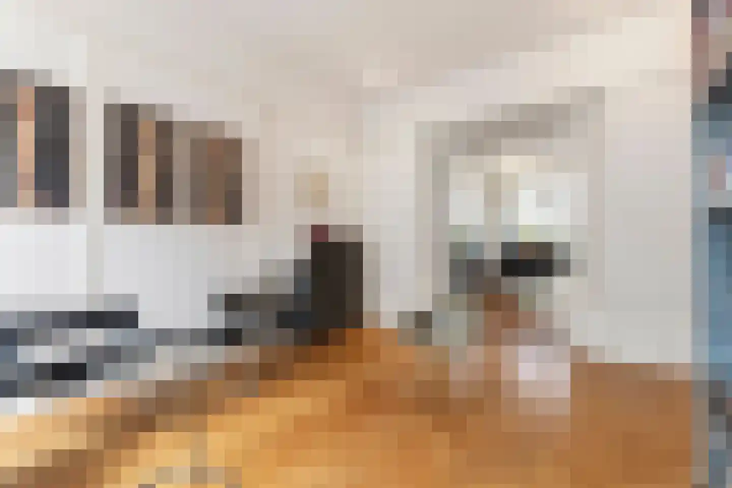 Willemsparkweg 49 2 Amsterdam thumbnail 8