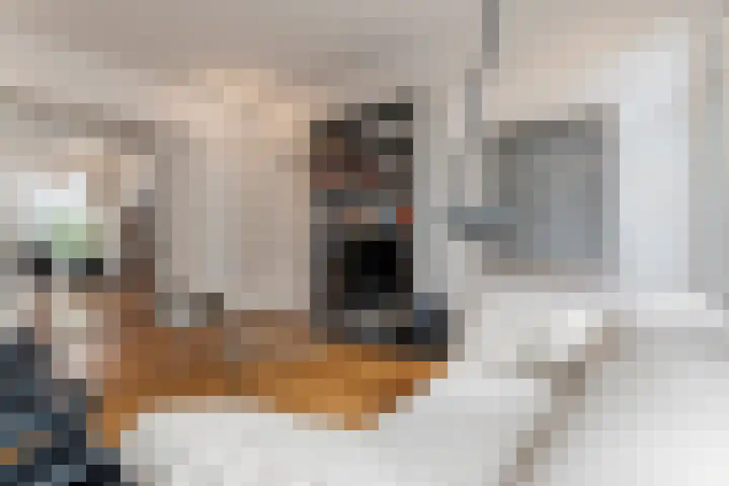 Willemsparkweg 49 2 Amsterdam thumbnail 9