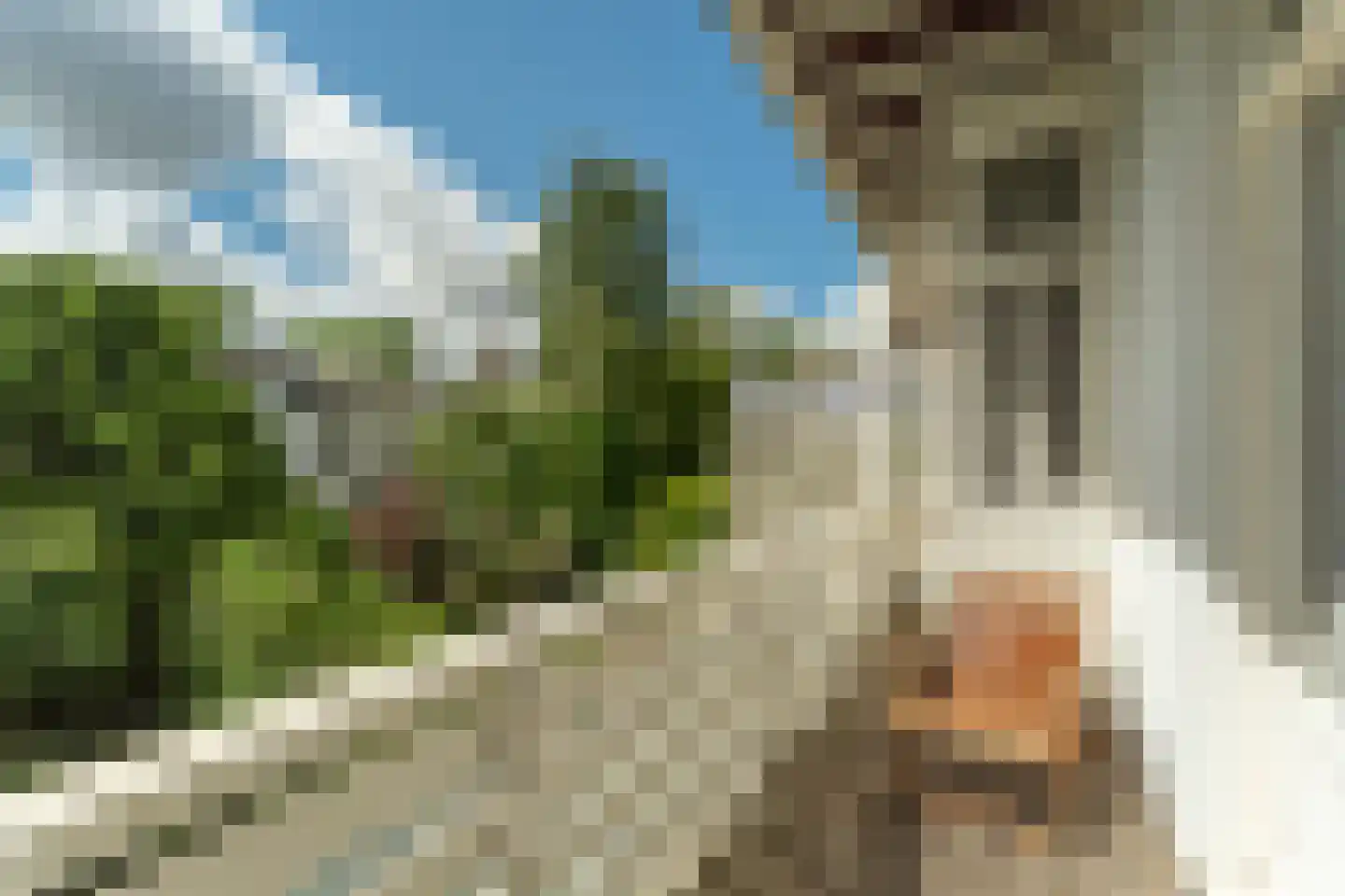 Willemsparkweg 49 H Amsterdam thumbnail 26