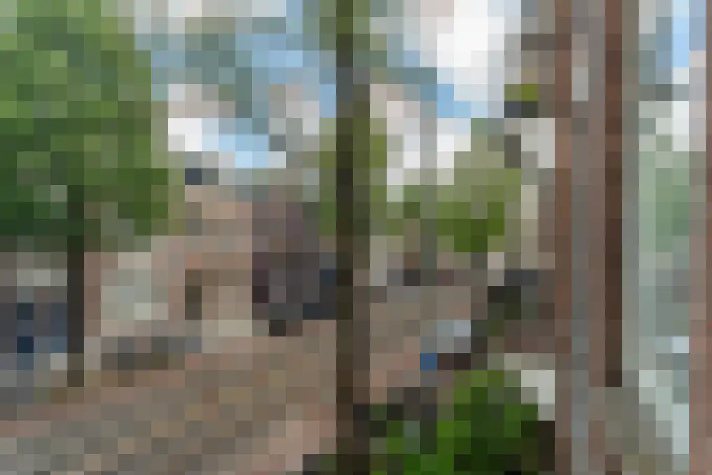Willemsparkweg 49 H Amsterdam thumbnail 32