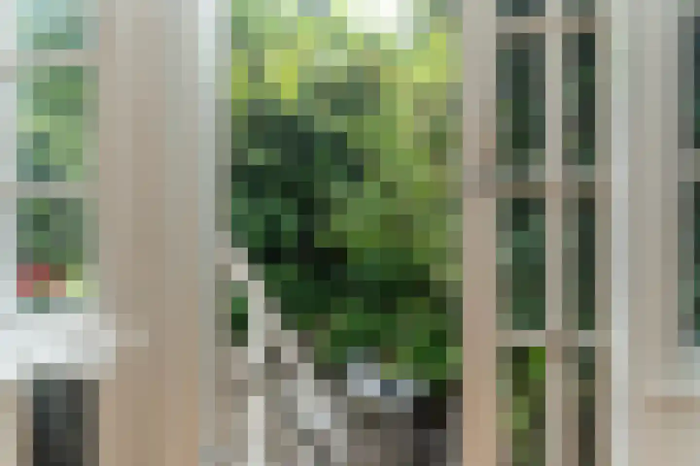 Willemsparkweg 49 H Amsterdam thumbnail 35