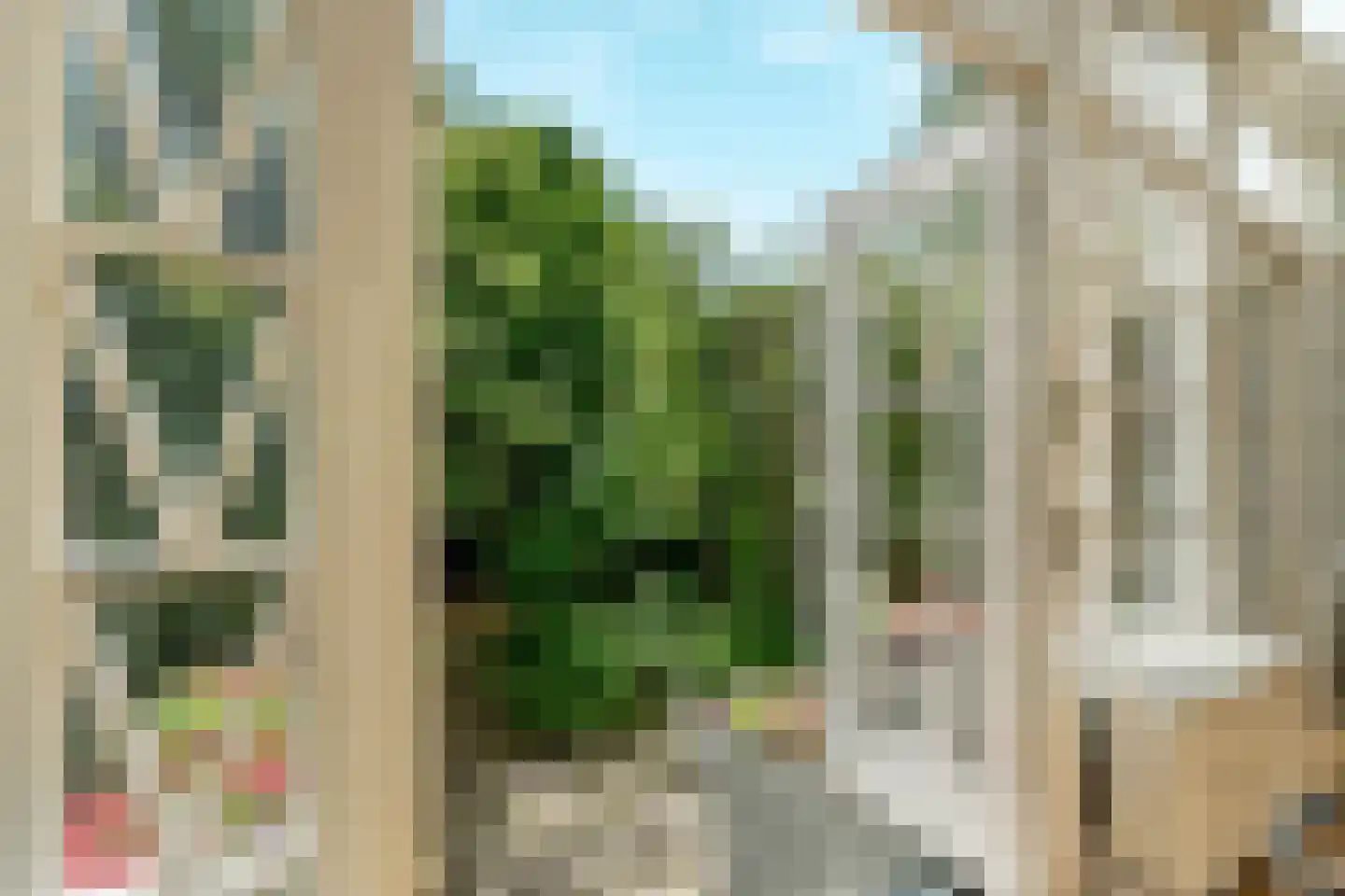 Willemsparkweg 49 H Amsterdam thumbnail 40