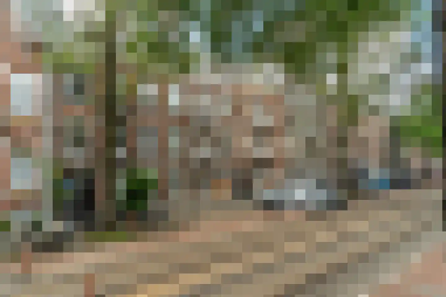 Willemsparkweg 49 H Amsterdam thumbnail 43