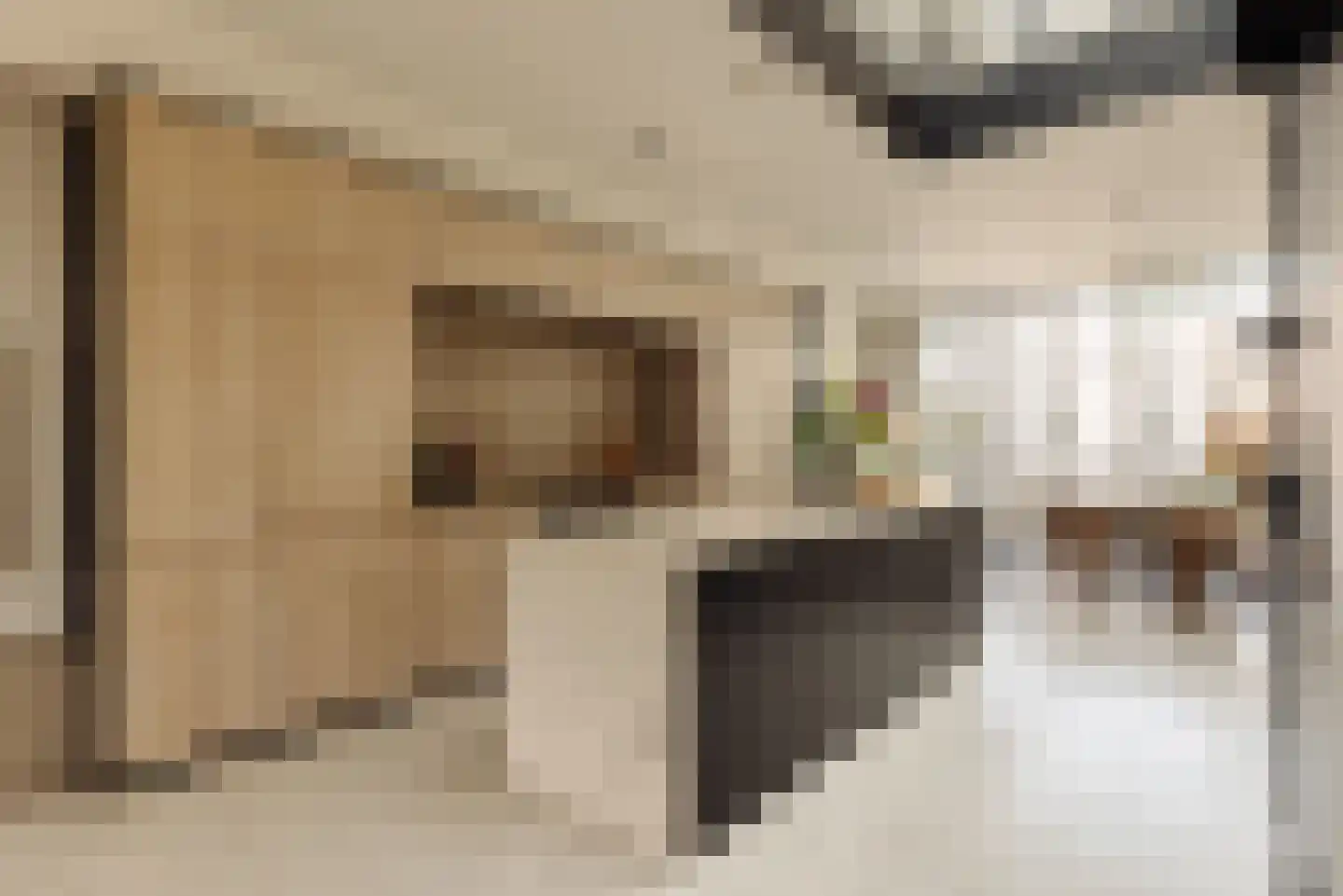 Willemsparkweg 54 2 Amsterdam thumbnail 13