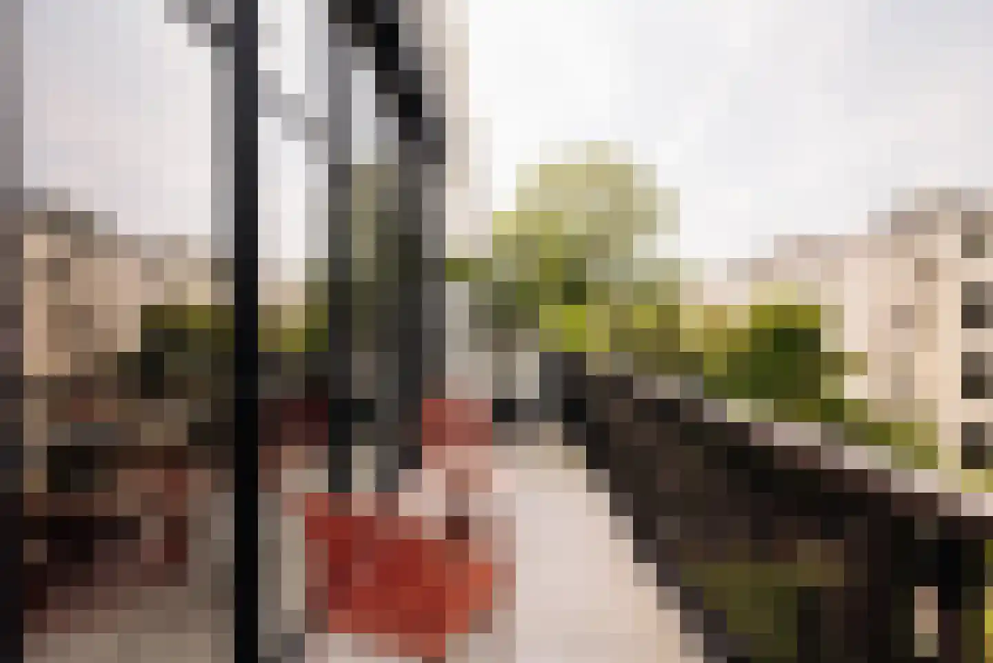 Willemsparkweg 54 2 Amsterdam thumbnail 19
