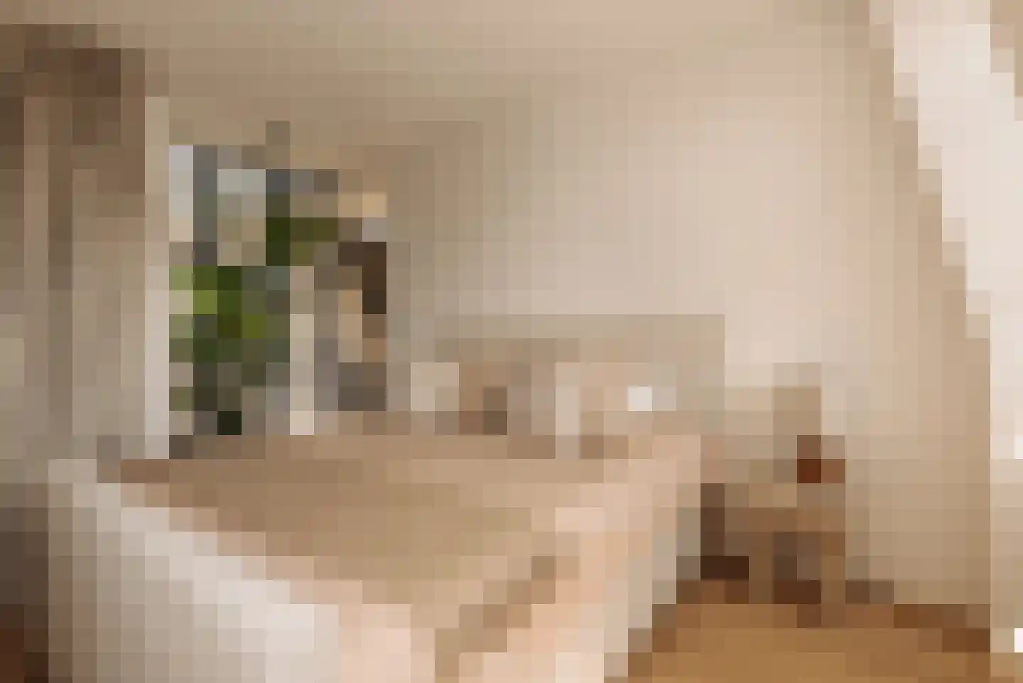 Willemsparkweg 54 2 Amsterdam thumbnail 33
