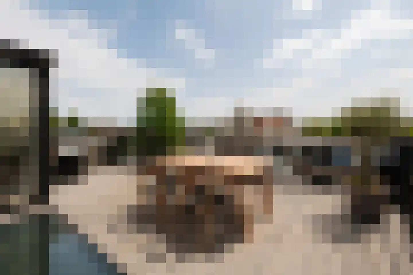 Willemsparkweg 54 2 Amsterdam thumbnail 38