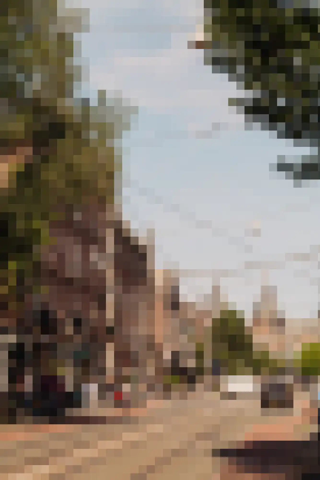 Willemsparkweg 54 2 Amsterdam thumbnail 41